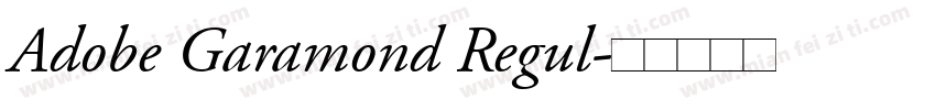 Adobe Garamond Regul字体转换